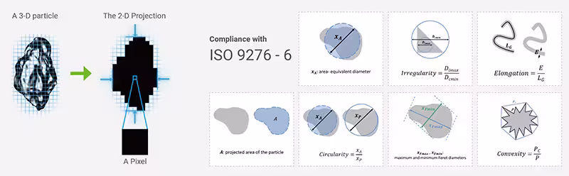 BeVision — 34 Particle Size and Shape Parameters