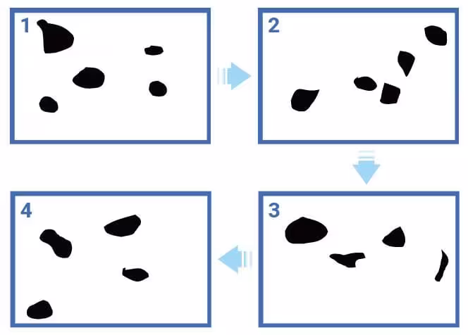 BeVision M1 — Measurement Workflow